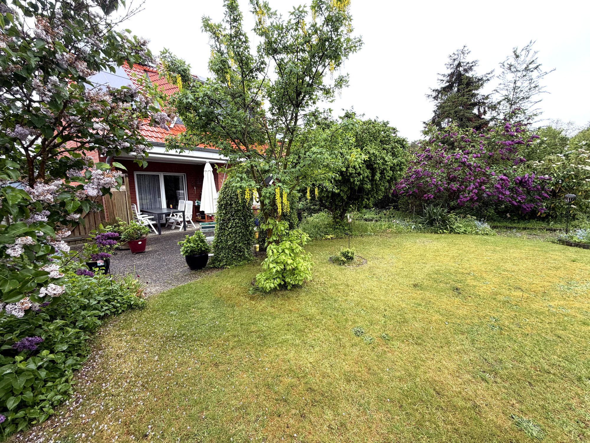 Gartenimpression 3